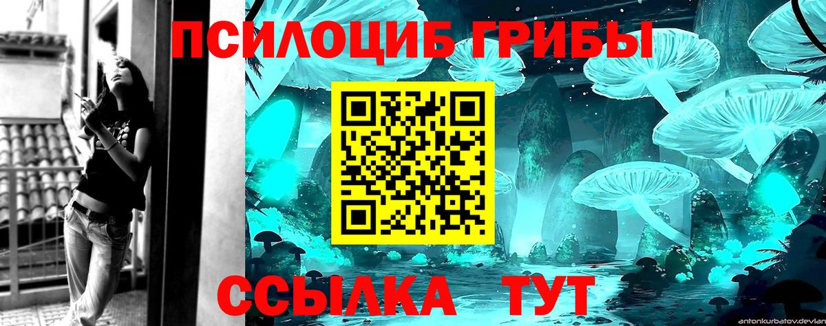 Галлюциногенные грибы Psilocybine cubensis  Вход с VPN  Кандалакша 